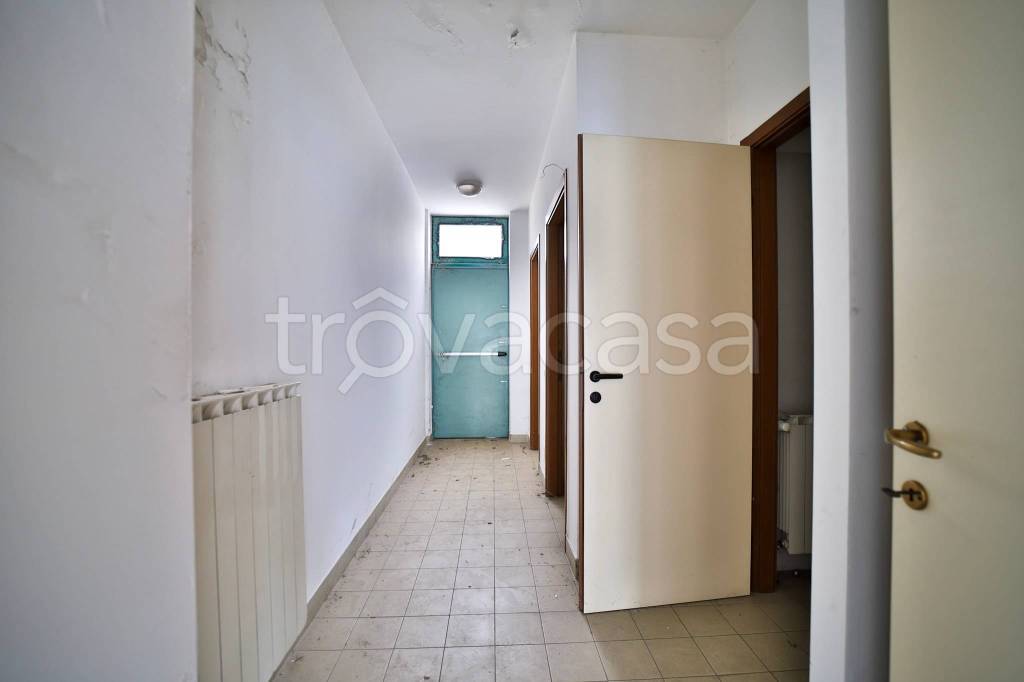 immagine annuncio 8 di 12
