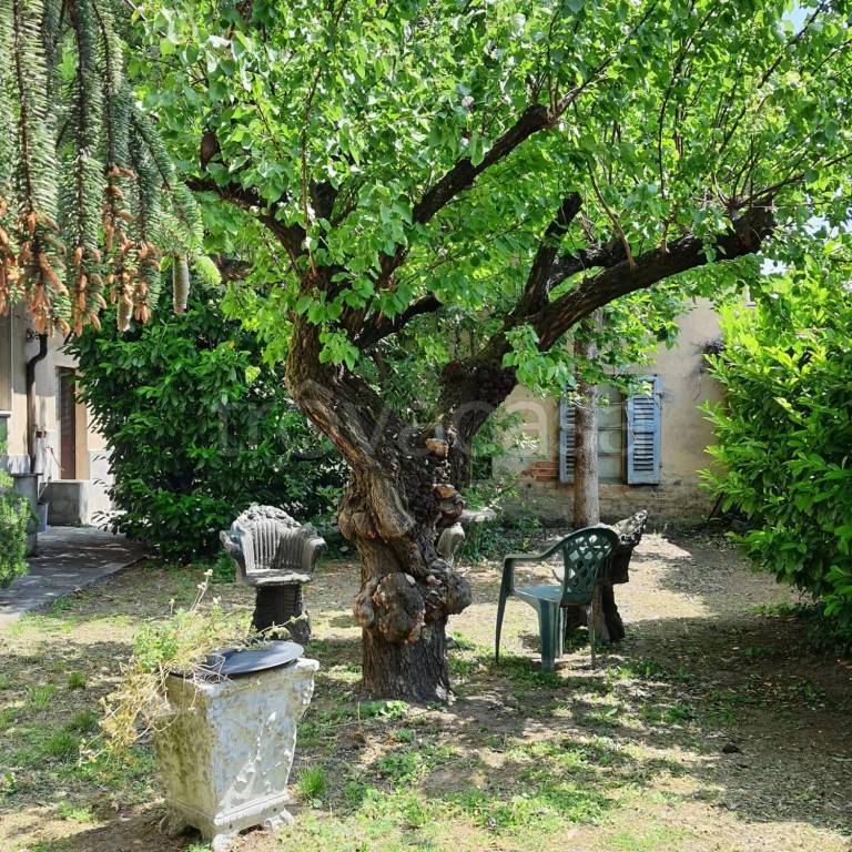 immagine annuncio 10 di 11
