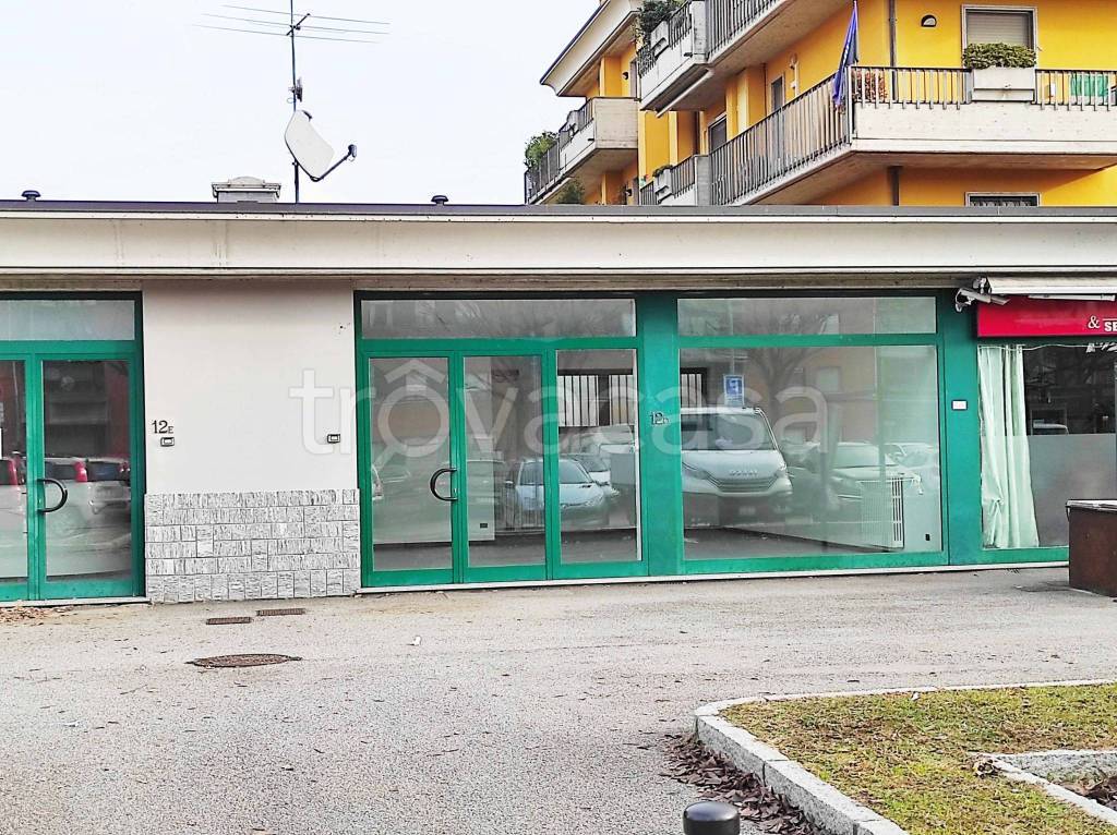immagine annuncio 4 di 15