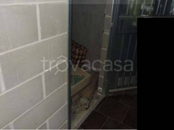 immagine annuncio 5 di 13