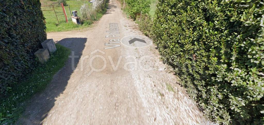 immagine annuncio 9 di 14