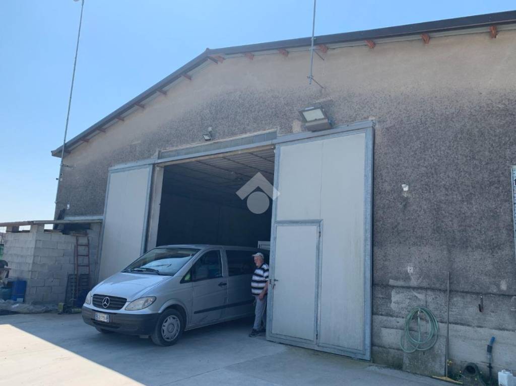 immagine annuncio 1 di 14