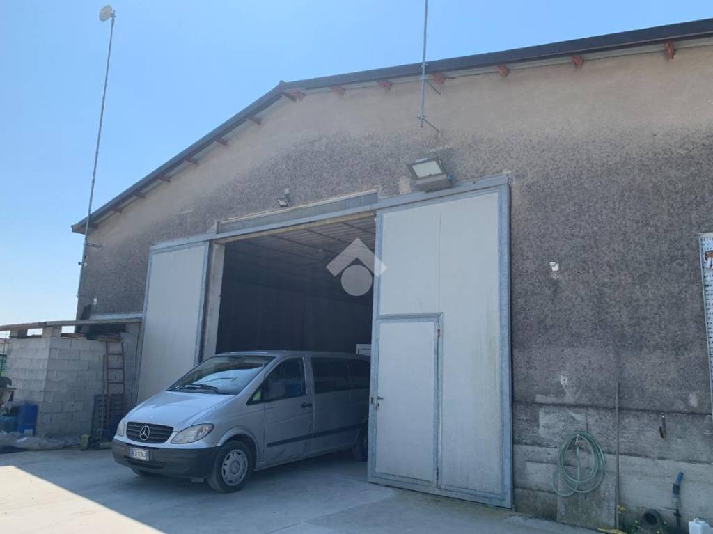 immagine annuncio 13 di 14