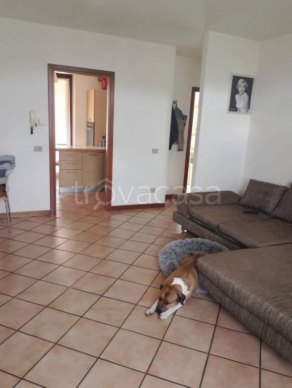 immagine annuncio 2 di 12