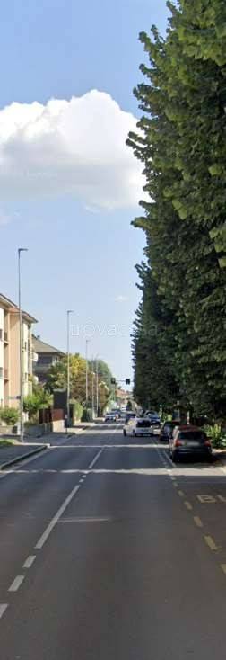 immagine annuncio 5 di 11