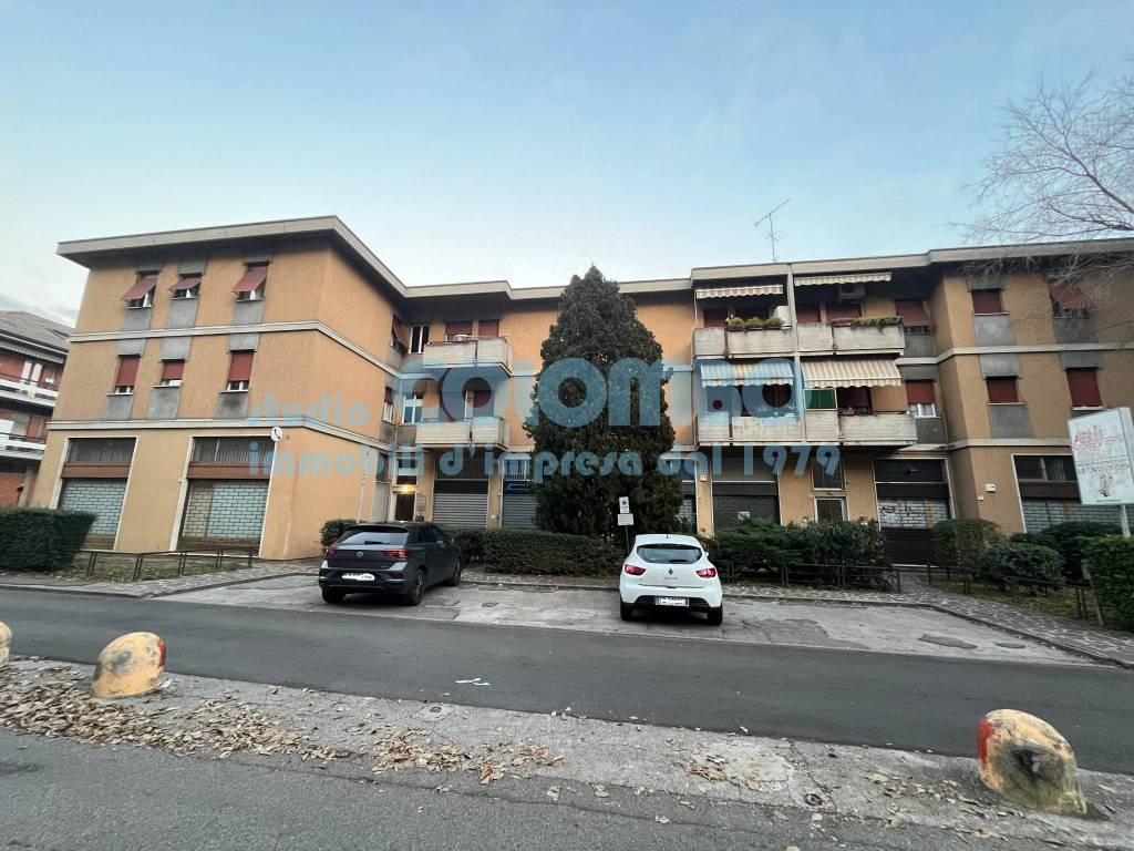 immagine annuncio 3 di 10