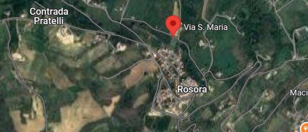 immagine annuncio 1 di 13