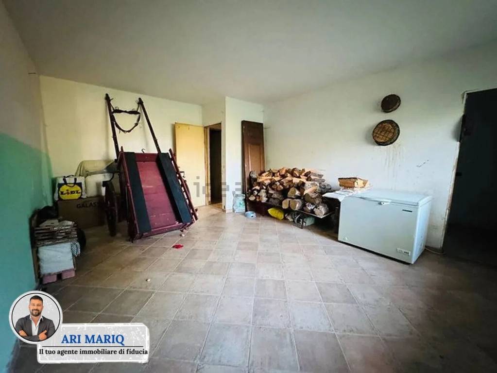 immagine annuncio 10 di 14
