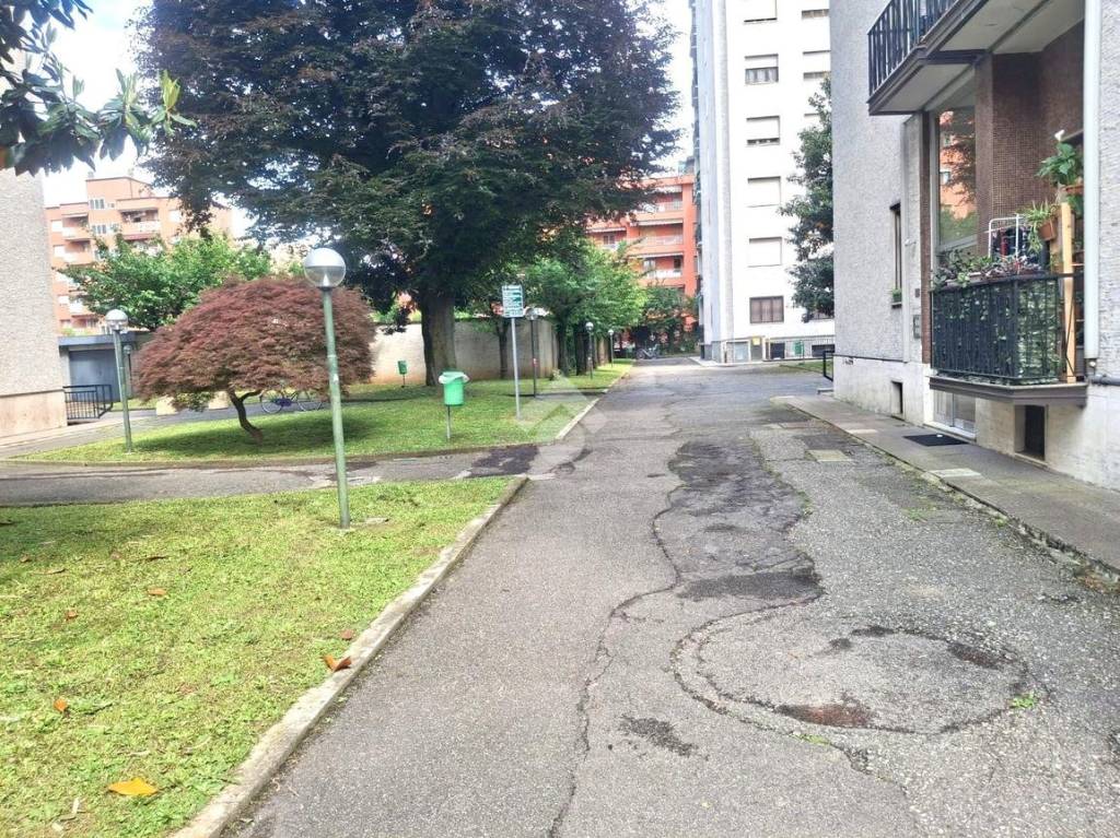 immagine annuncio 14 di 15