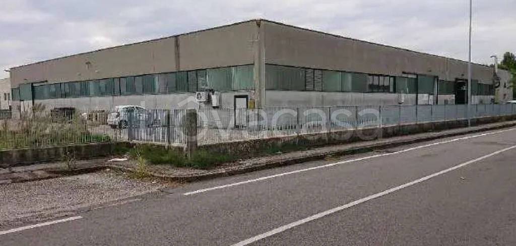 immagine annuncio 8 di 12