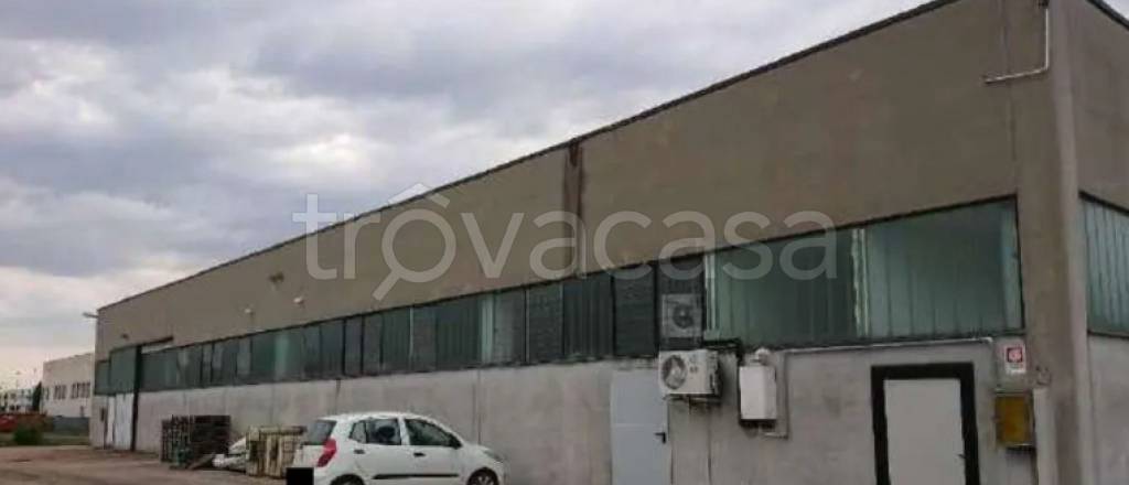 immagine annuncio 9 di 12