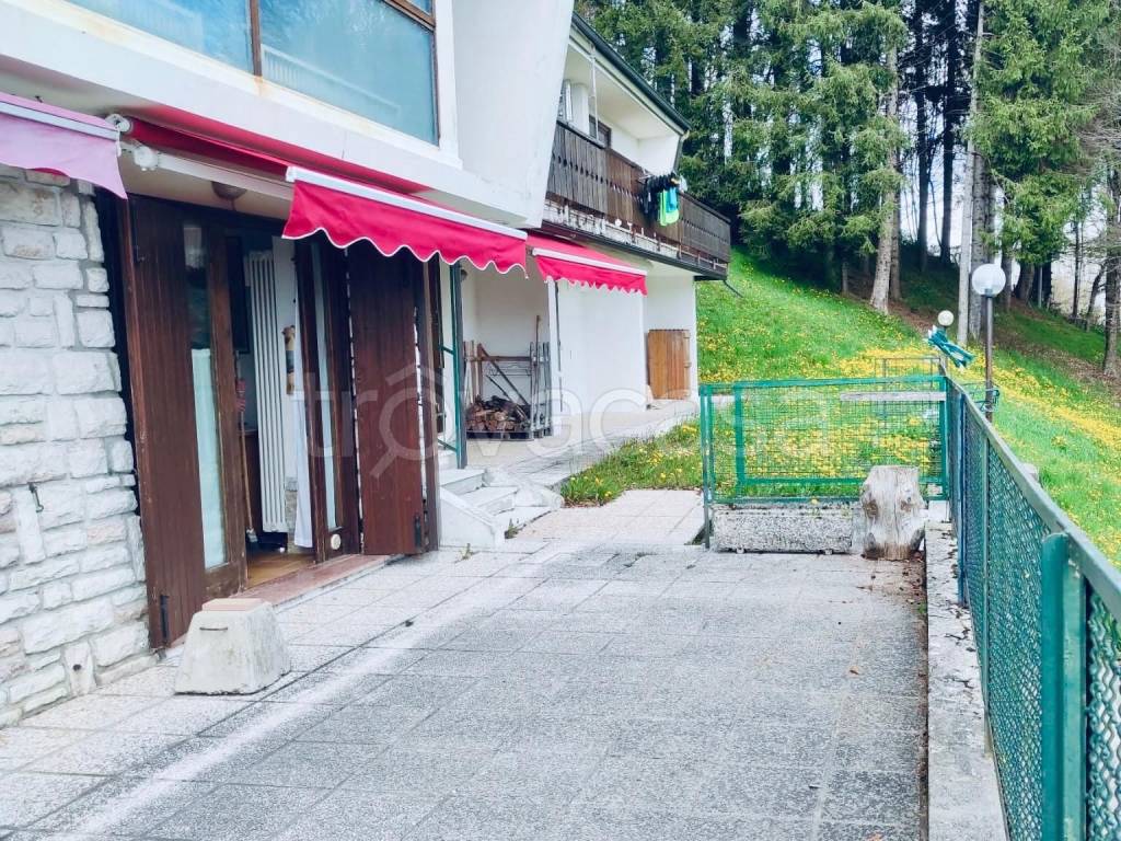 immagine annuncio 12 di 13