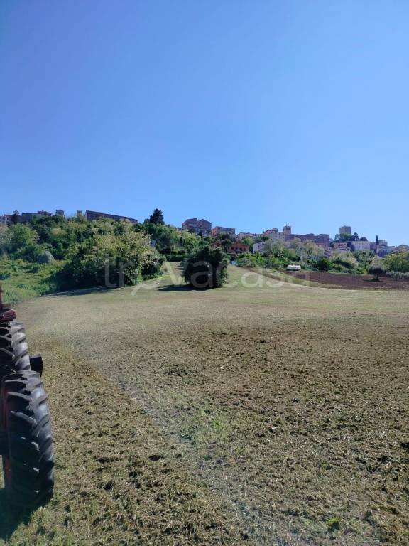 immagine annuncio 4 di 6