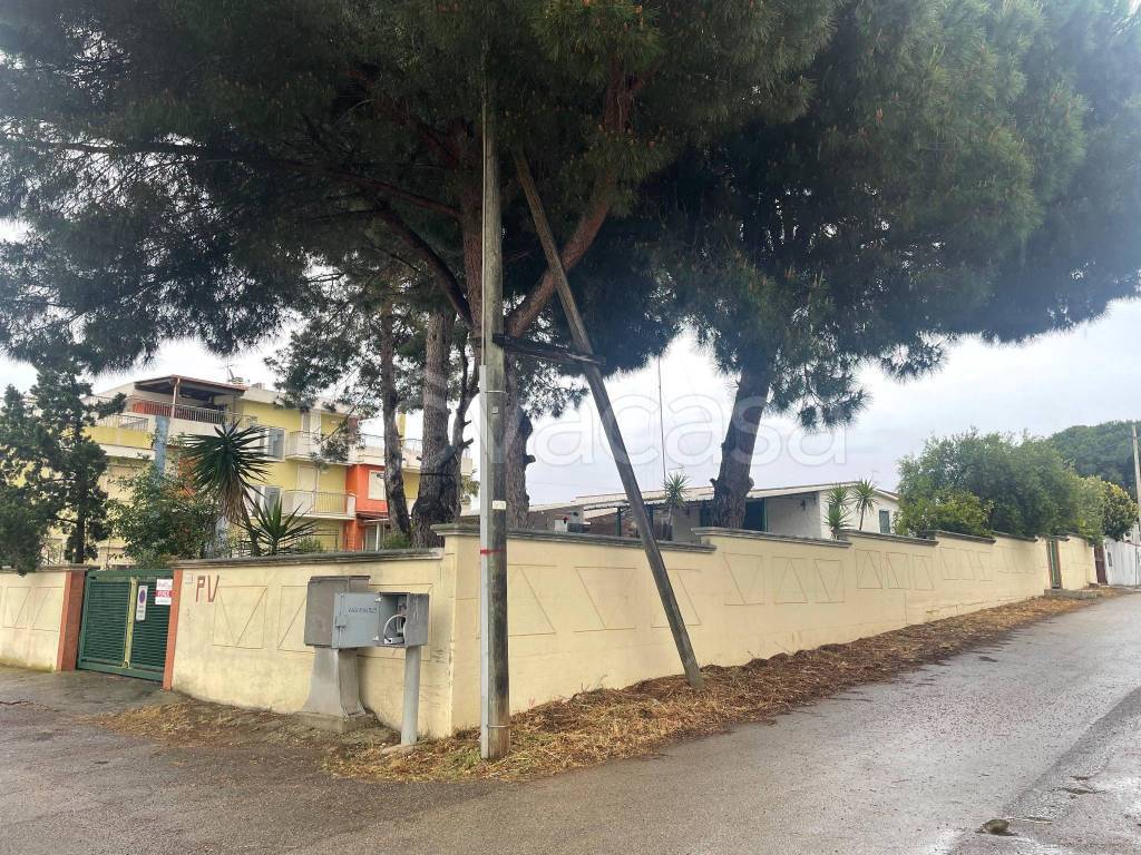 immagine annuncio 3 di 6
