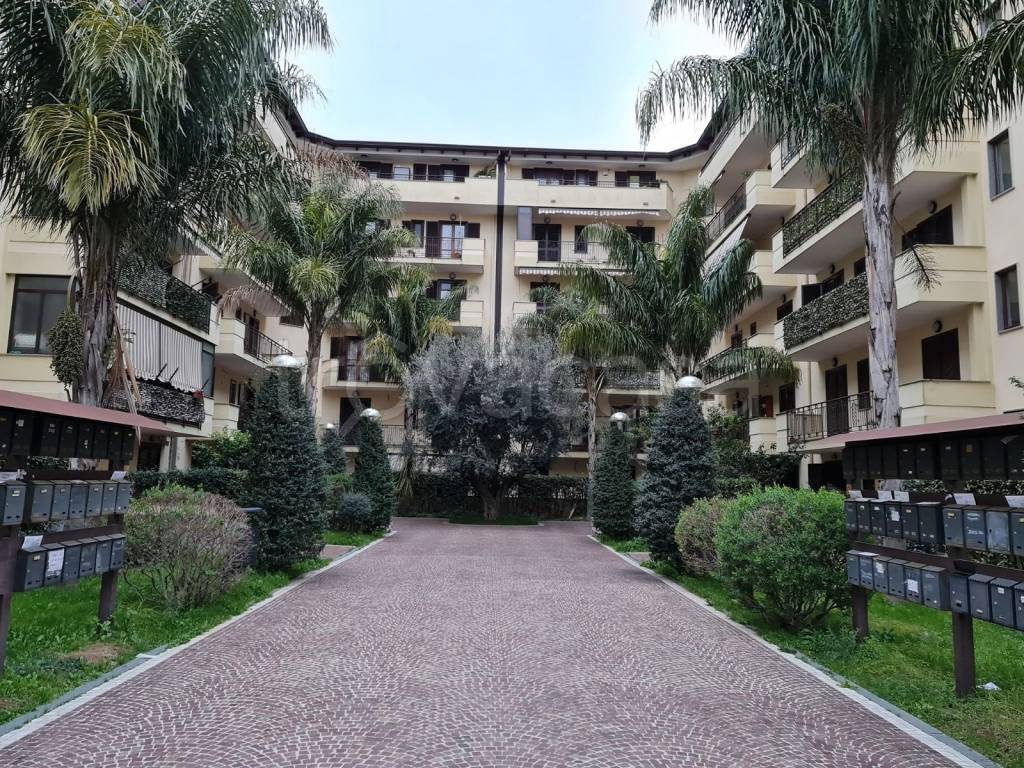 immagine annuncio 7 di 12