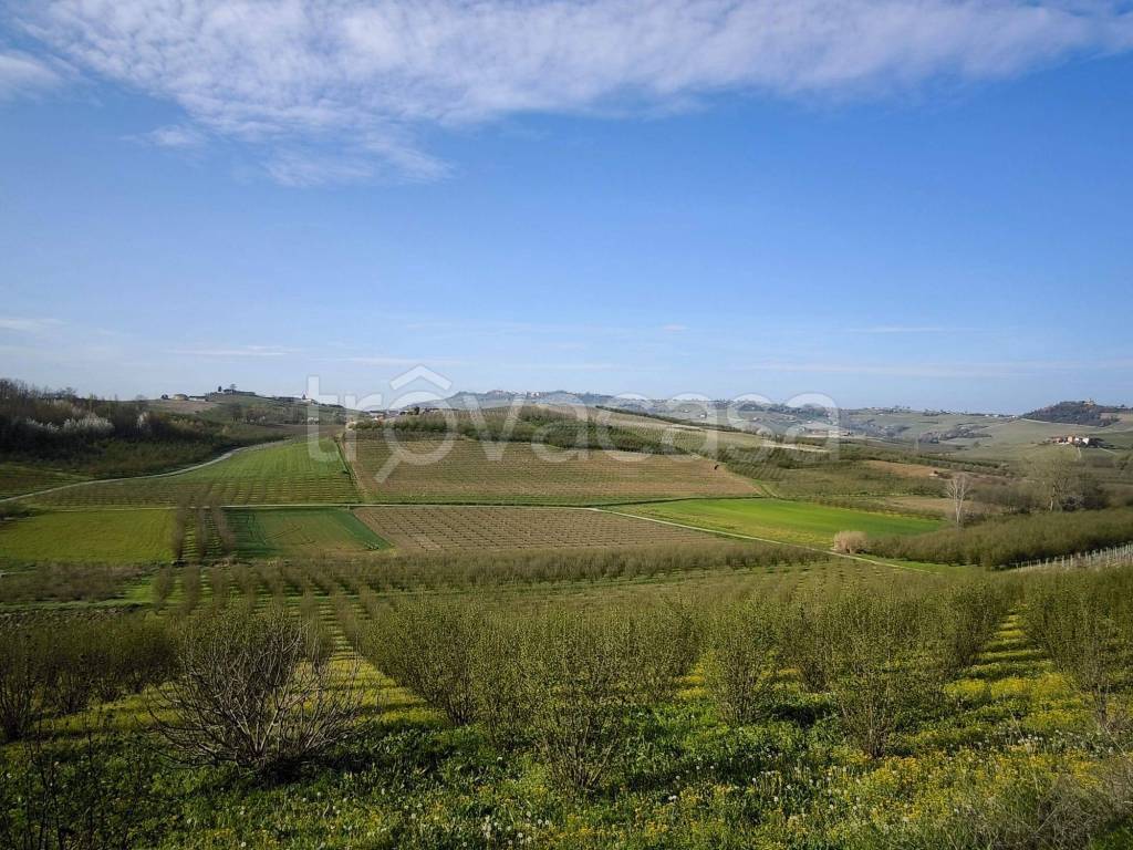 immagine annuncio 4 di 7