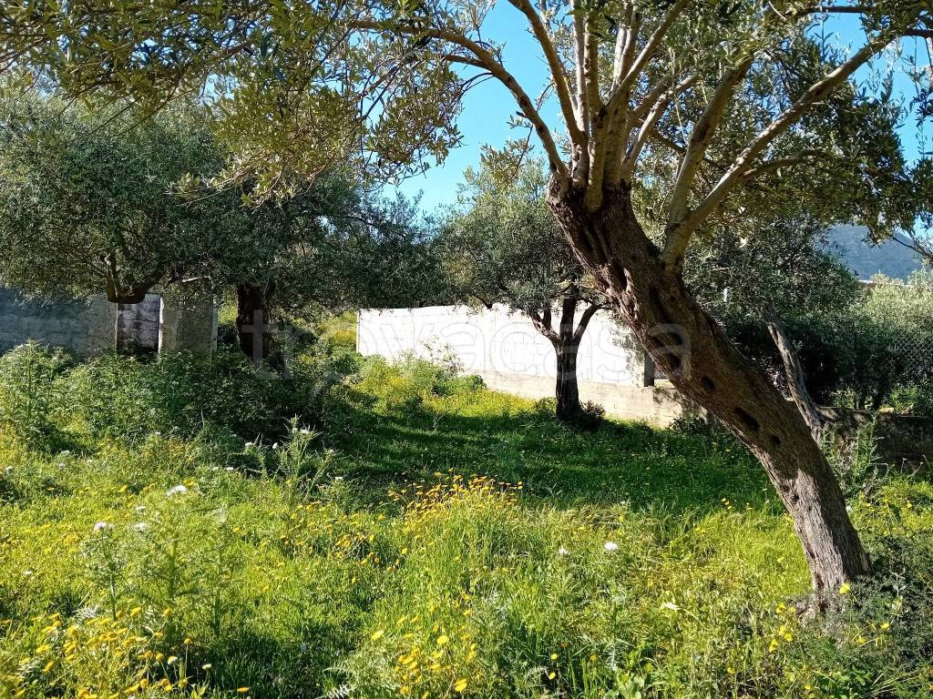 immagine annuncio 2 di 7