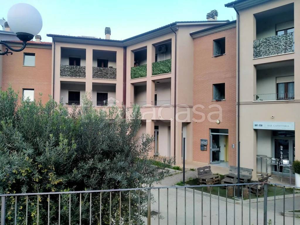 immagine annuncio 7 di 15