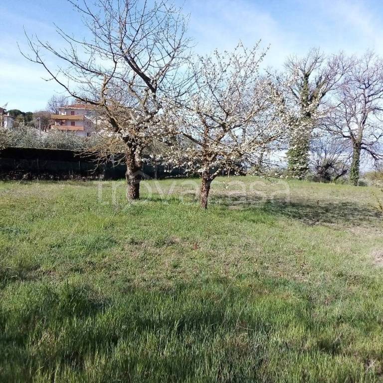 immagine annuncio 3 di 14