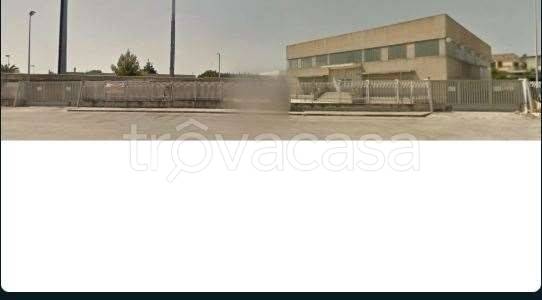 immagine annuncio 2 di 8