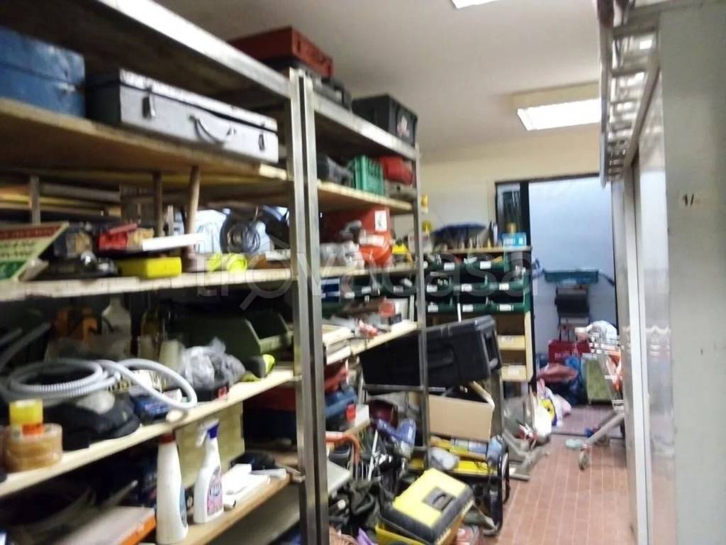immagine annuncio 1 di 4