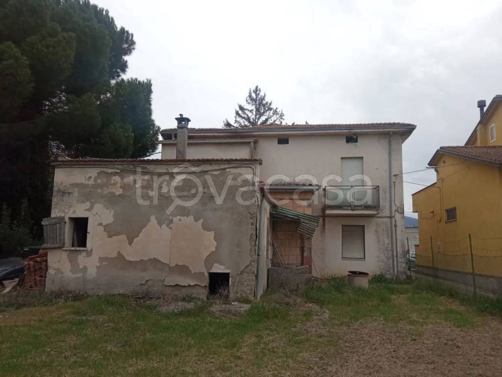 immagine annuncio 9 di 14