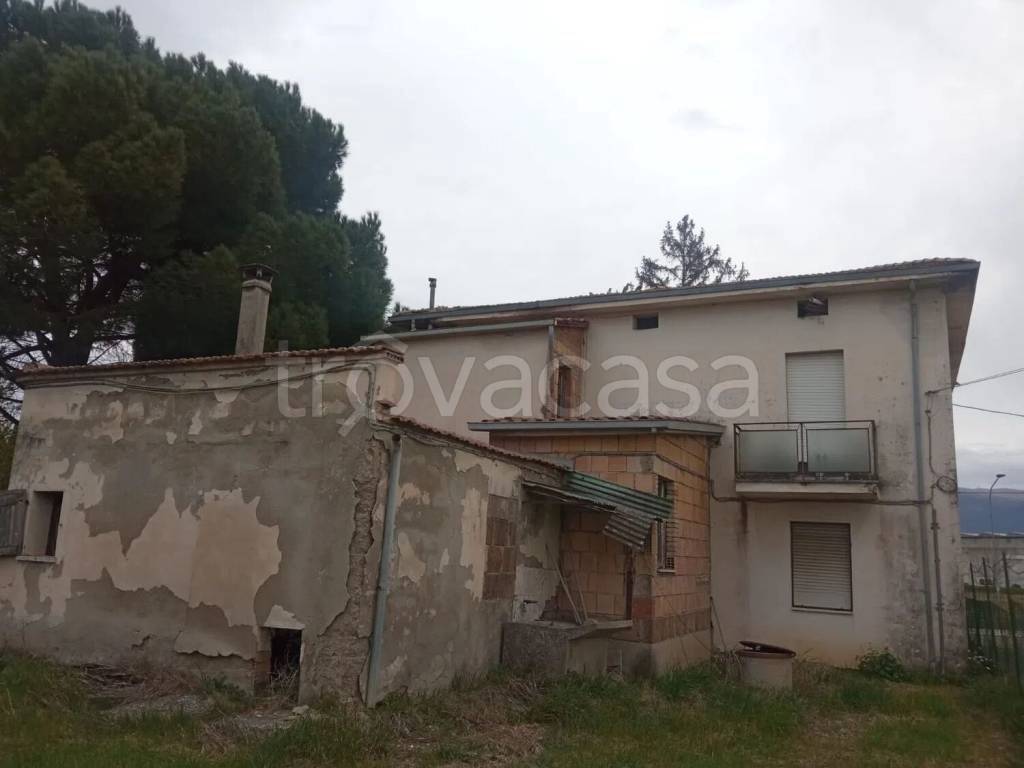 immagine annuncio 11 di 14