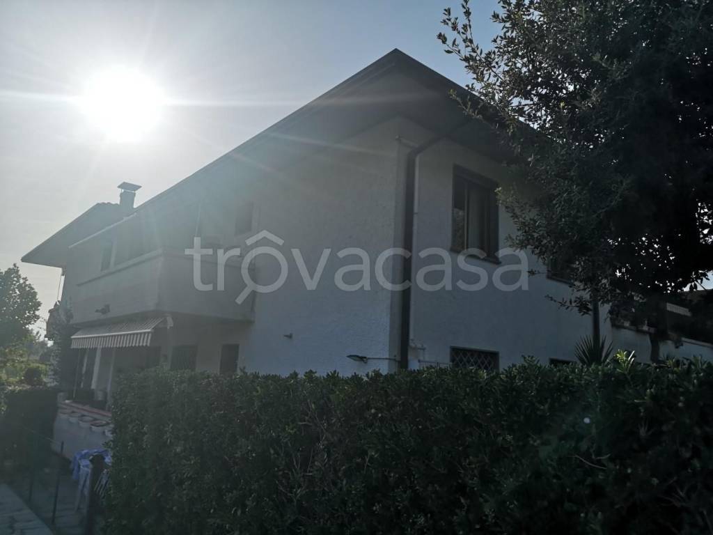 immagine annuncio 10 di 14