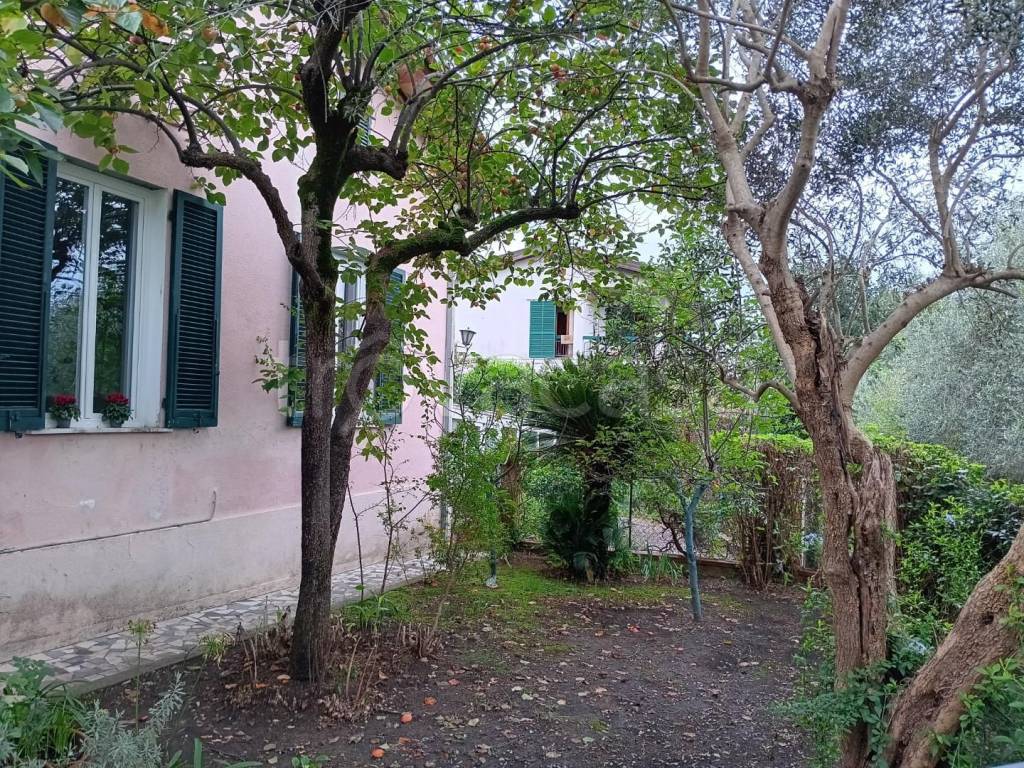 immagine annuncio 2 di 12
