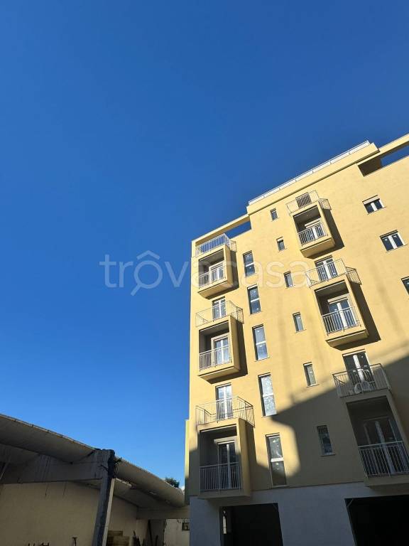 immagine annuncio 11 di 13