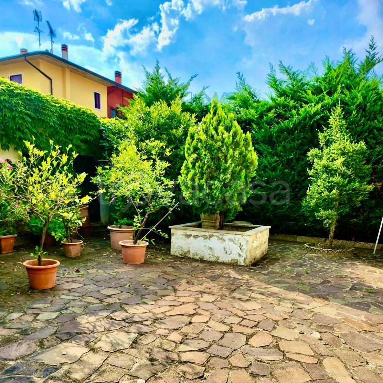 immagine annuncio 3 di 8