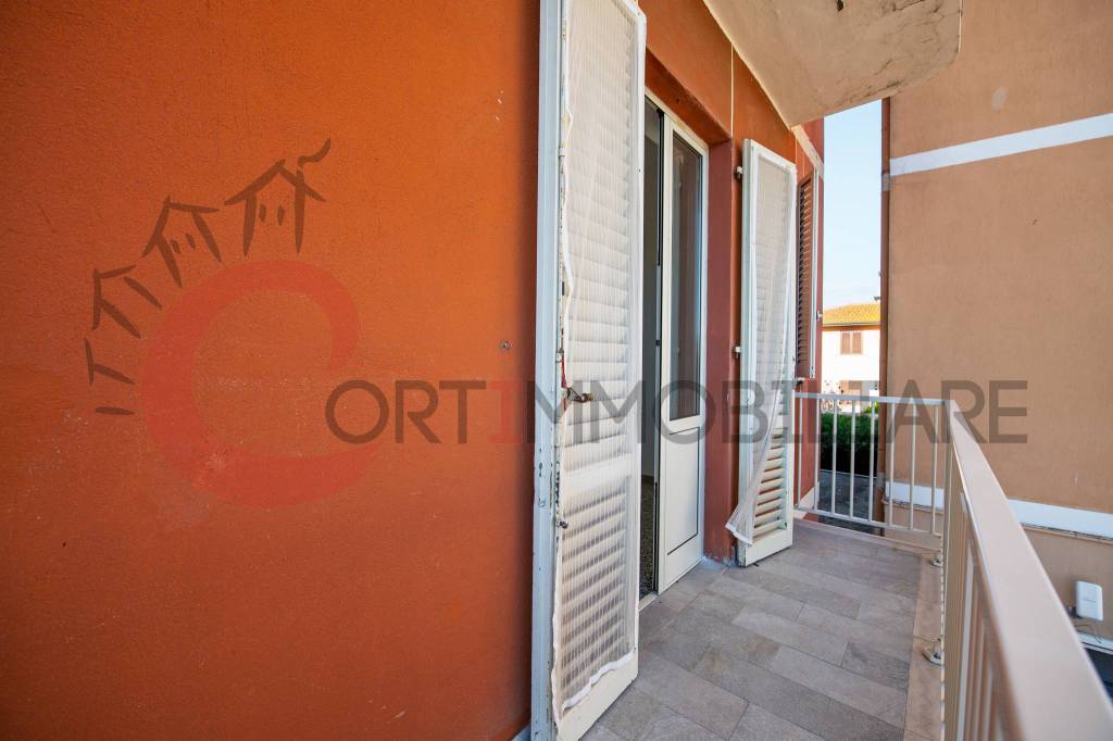 immagine annuncio 9 di 14