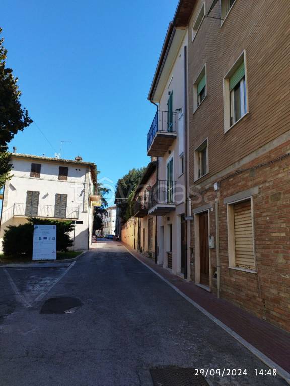 immagine annuncio 10 di 12