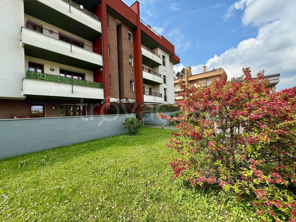 immagine annuncio 7 di 15