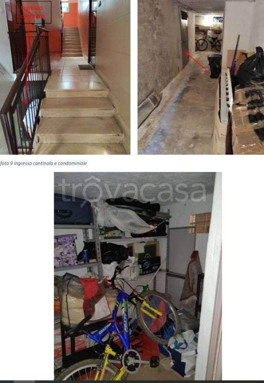 immagine annuncio 2 di 7