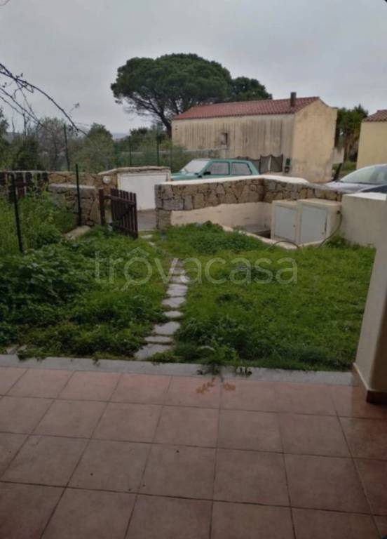 immagine annuncio 9 di 14