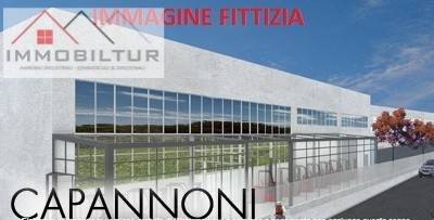 immagine annuncio 1 di 7