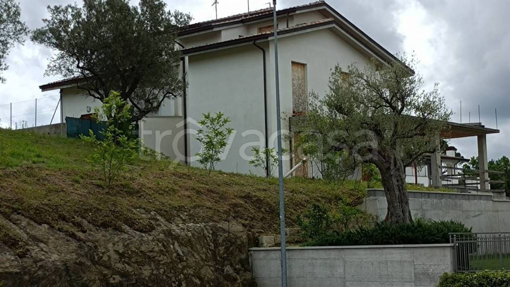 immagine annuncio 11 di 13