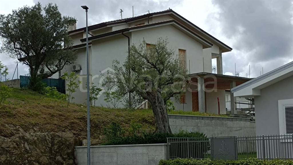 immagine annuncio 12 di 13