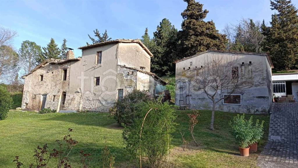 immagine annuncio 1 di 6