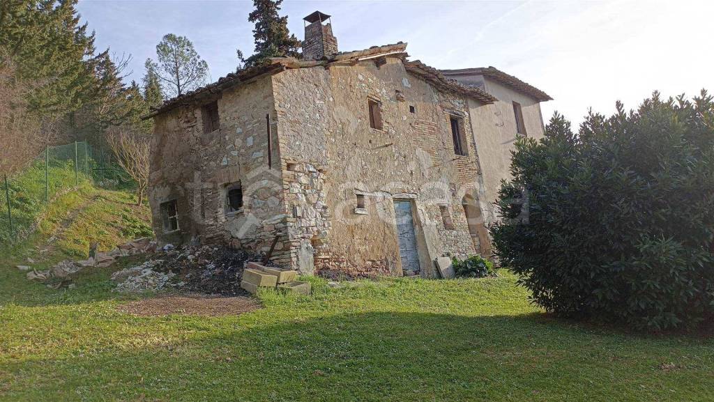 immagine annuncio 2 di 6