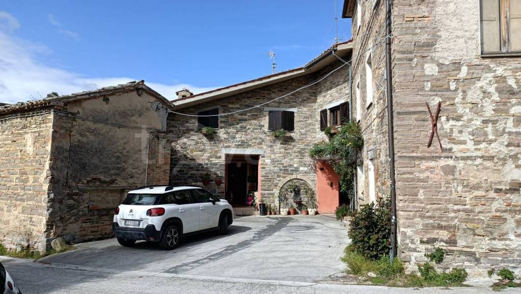 immagine annuncio 11 di 12
