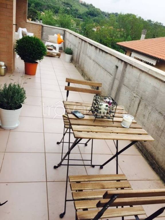 immagine annuncio 6 di 12