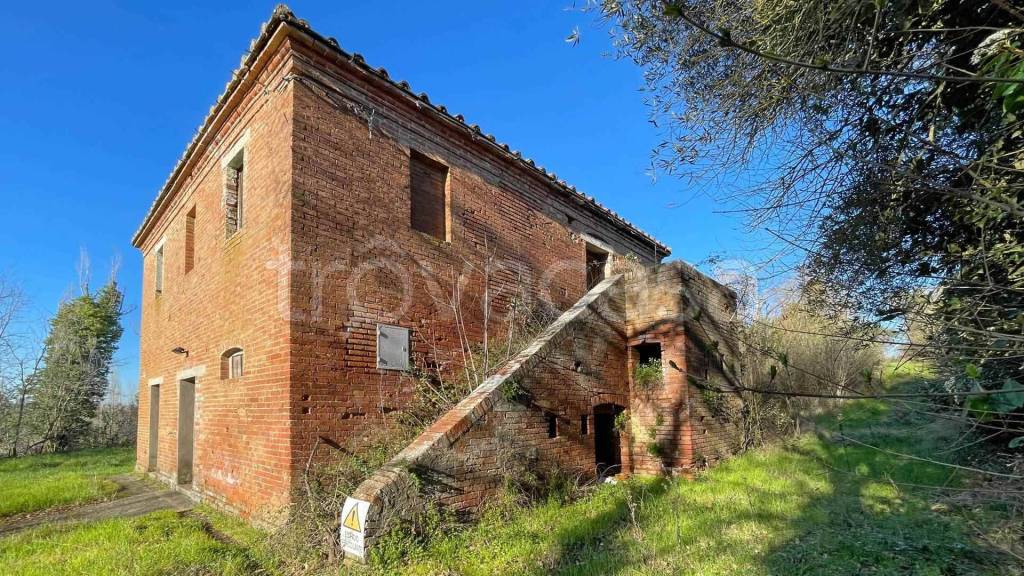 immagine annuncio 7 di 14