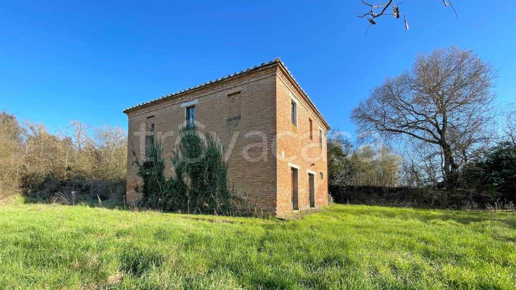 immagine annuncio 8 di 14