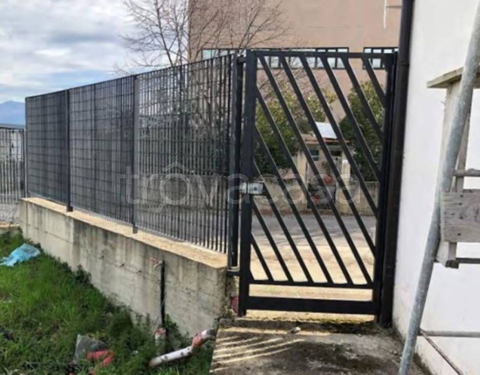 immagine annuncio 2 di 14