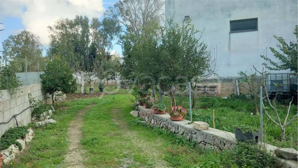 immagine annuncio 4 di 8