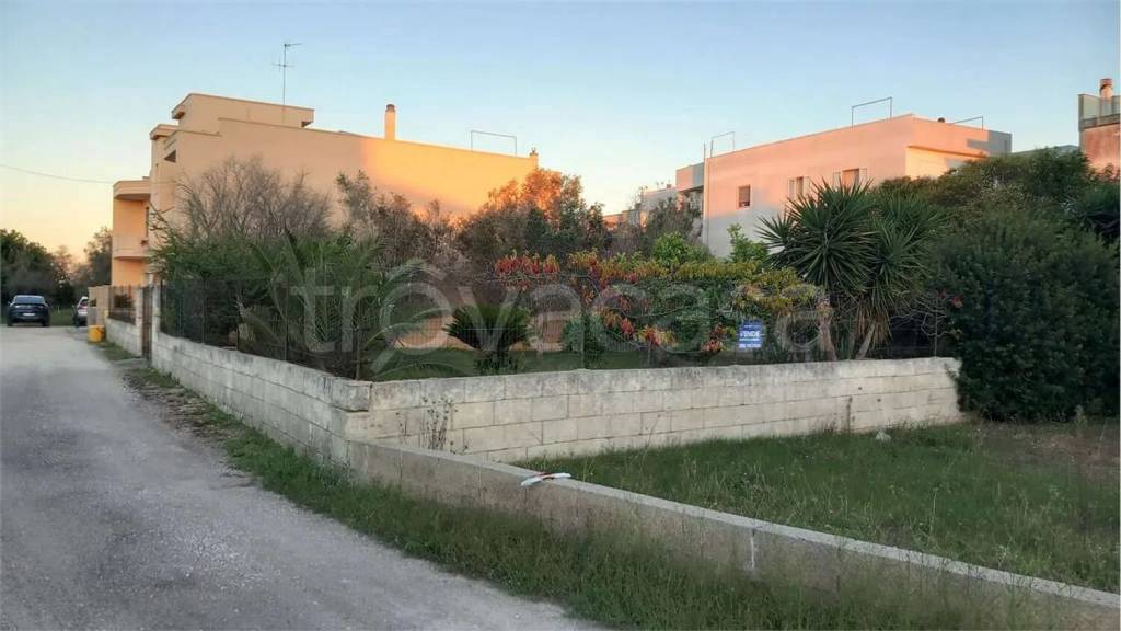 immagine annuncio 5 di 14