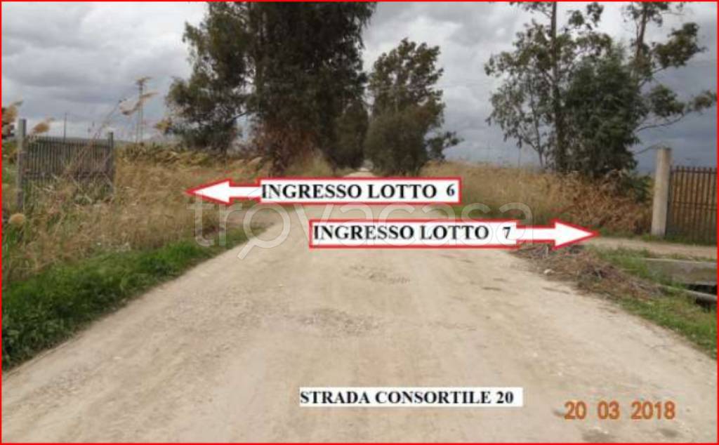 immagine annuncio 1 di 12