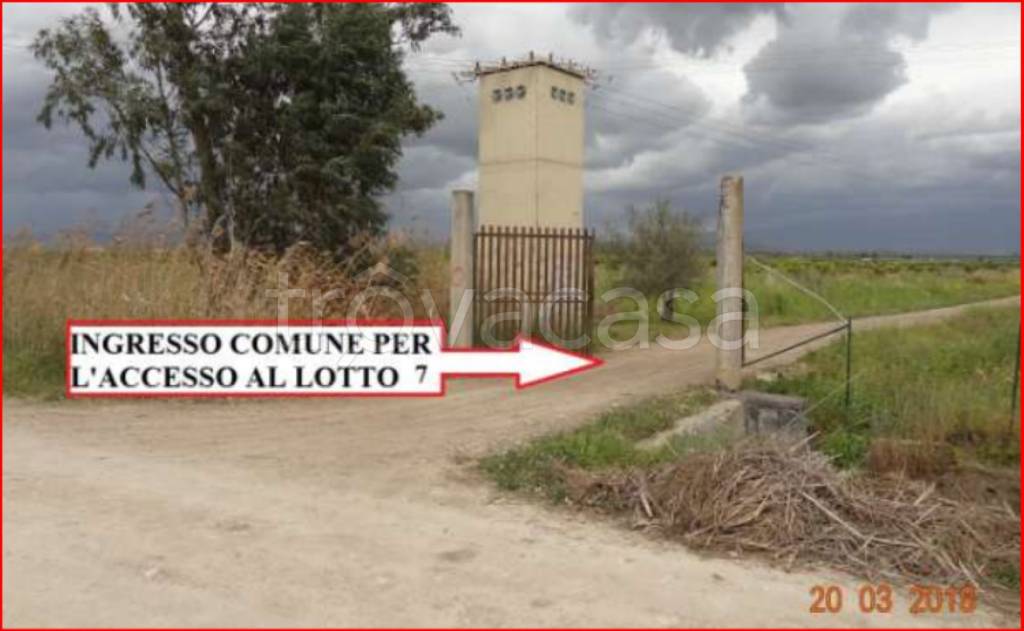 immagine annuncio 2 di 12
